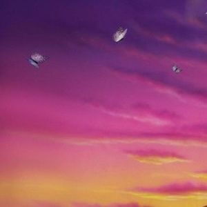 Meet your Posher, Ziah